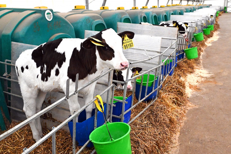Инструмент защиты: Агрострахование в России помогает снизить потери фермеров и поддерживать продбезопасность